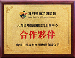 大湾区知识产权咨询服务中心合作伙伴
